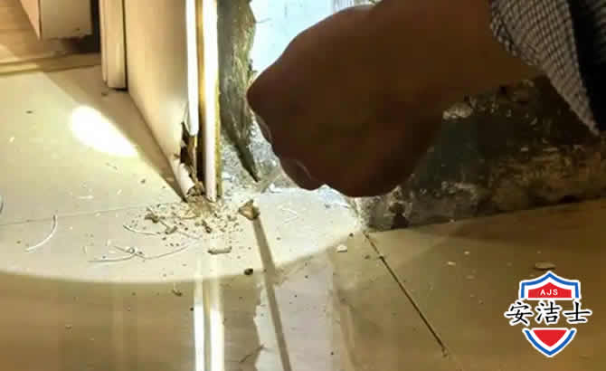 崖州区房屋建筑防治白蚁