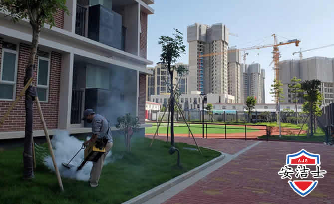 崖州区工厂工地除白蚁