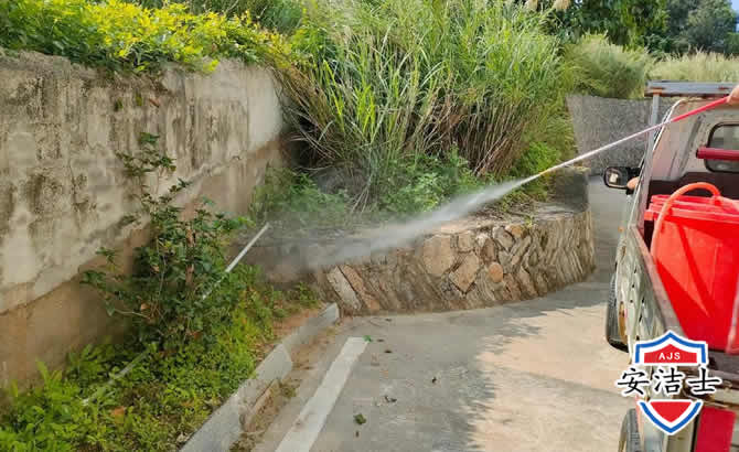 崖州区道路堤坝白蚁防治