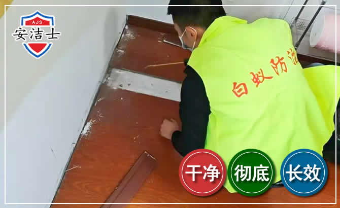 崖州区除四害现场