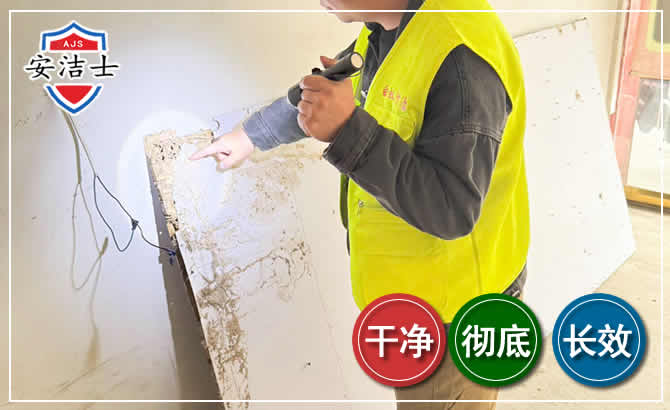 崖州区除白蚁现场