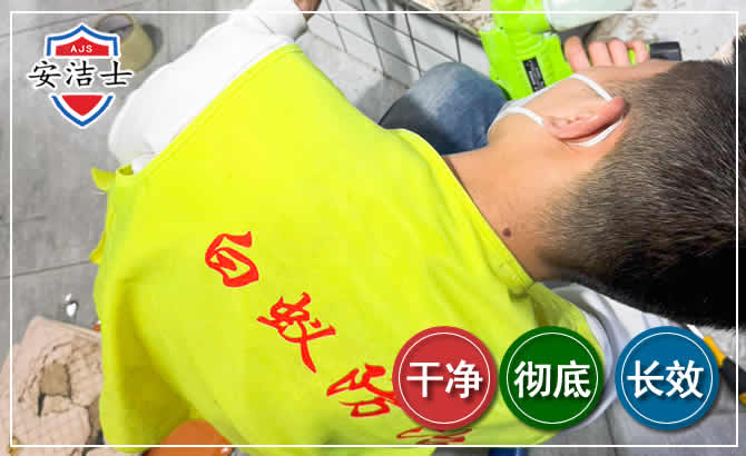 崖州区白蚁根治现场